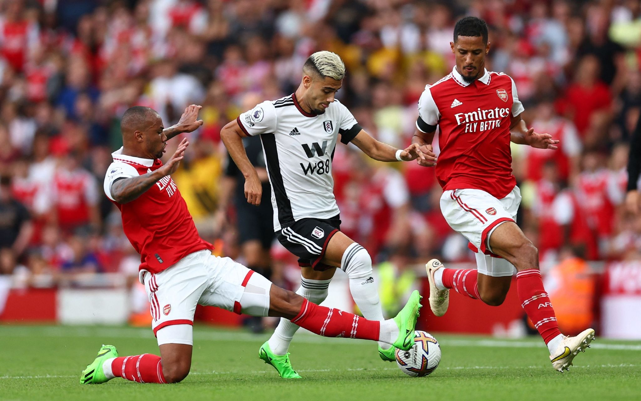 人不禁联想 人不禁联想